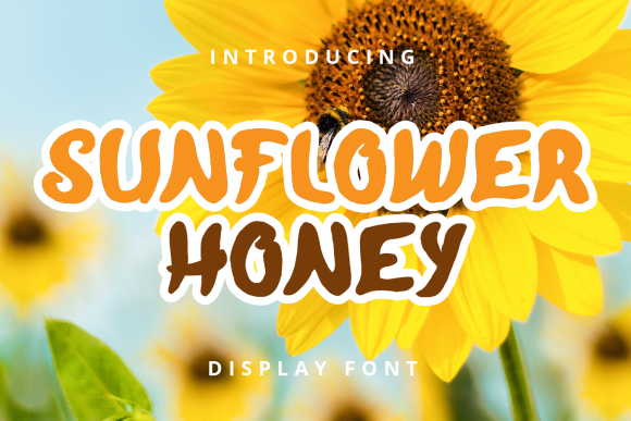 Sunflower Honey: A Playful Display Font for Branding That Feels Human